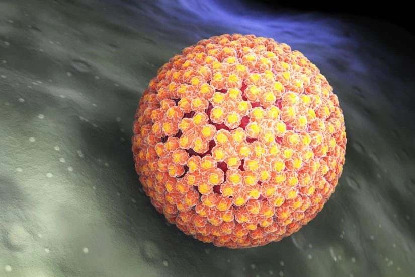 Šta je HPV infekcija – simptomi i lečenje