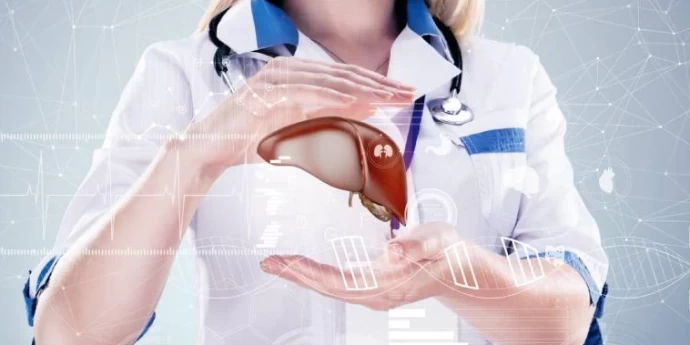 Koji su simptomi masne jetre i kako je izlečiti prirodnim putem?