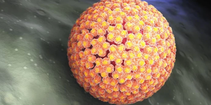 Šta je HPV infekcija – simptomi i lečenje